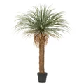 Potted Artificial Grass Tree, 183cm