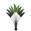 Potted Artificial Travellers Palm, 160cm