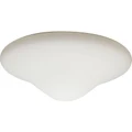 Replacement Glass for Martec Oasis Ceiling Fan Light