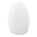 Snow Egg IP44 Indoor / Outdoor Colour Changing LED Table Lamp