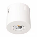 SAL Ecostar Commercial Grade Surface Mount LED Downlight, 9W, 3000K, White (S9046SM/C WW WH)