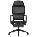 Barssel Mesh Fabric Ergonomic Office Chair with Telescopic Footrest