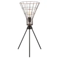 Nereus Iron Wire Torch Table Lamp