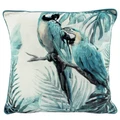 Tropical Macaws Velvet Scatter Cushion