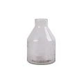 Laudes Etched Glass Bottole Vase, Small