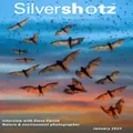 Silvershotz (UK) Magazine Subscription