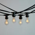 Commercial LED 10M Festoon String Lights at 50cm intervals | LiquidLEDs