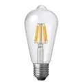 6W 12-24V DC Edison Dimmable LED Light Bulb 2700K (E27) | LiquidLEDs