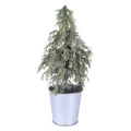 Christmas Pine Tree In Tin Decoration 30cm (Pk 1)