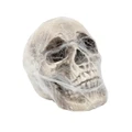 Cobweb Wrapped Skull Halloween Decoration (15x18cm)