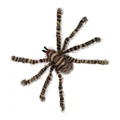 Striped Furry Spider Halloween Decoration 70x17cm