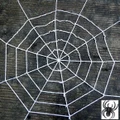 White Rope Spider Web with Spider Halloween Decoration 150cm