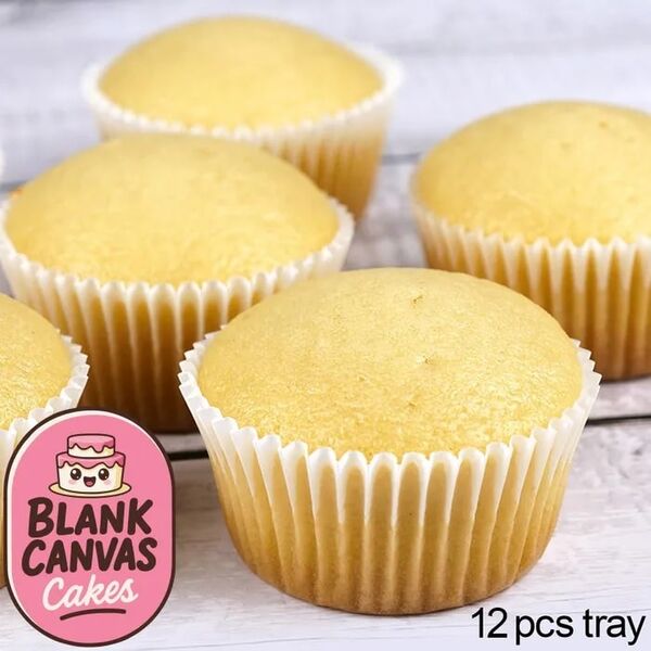 Blank Canvas Frozen Naked White Cupcakes Pk 12