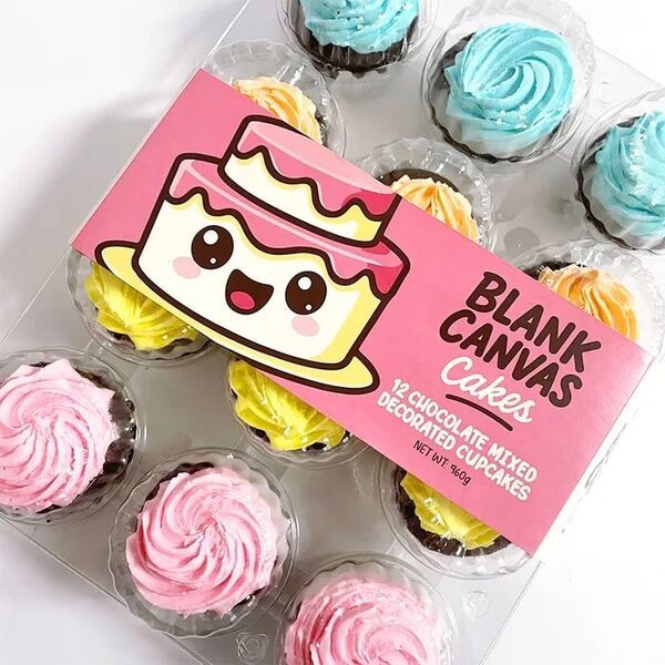 Blank Canvas Frozen Chocolate Mixed Decorated Cupcakes Pk 12