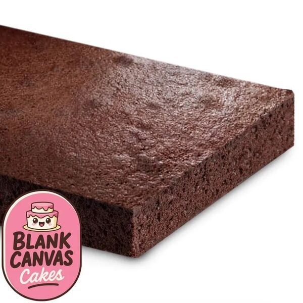 Blank Canvas Frozen Naked Chocolate Mud Slab Cake 40x30cm