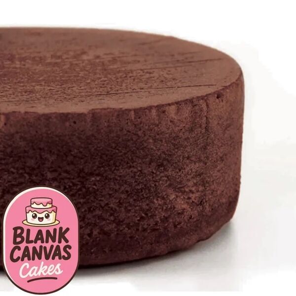 Blank Canvas Frozen Naked Round 10in Chocolate Mud Cake