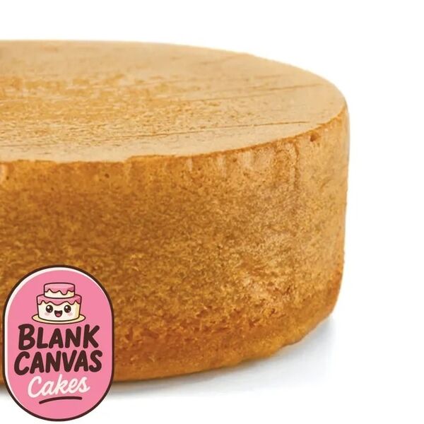 Blank Canvas Frozen Naked Round 8in White Chocolate Mud Cake