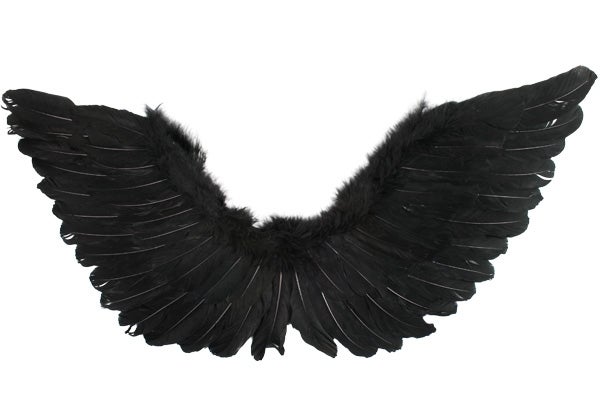 Black Feather Wings (90cm x 50cm) Pk 1