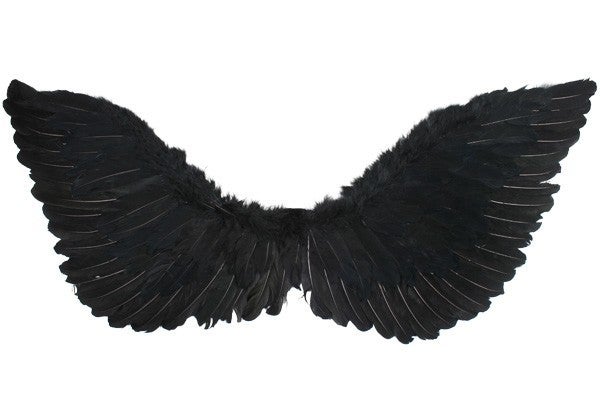 Black Medium Up Feather Wings (50cm x 40cm) Pk 1