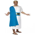 Adult Male Roman Senator Costume (Medium, 38-40)