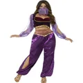 Adult Purple Arabian Princess Costume (Medium, 12-14) Pk 1