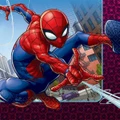 Spiderman Napkins Lunch 2 Ply Pk 16