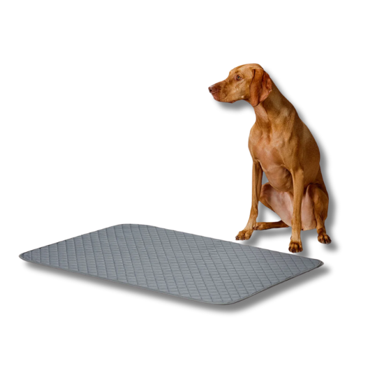 Snooza Washable Pee Pad - 2 Pack - Extra Large