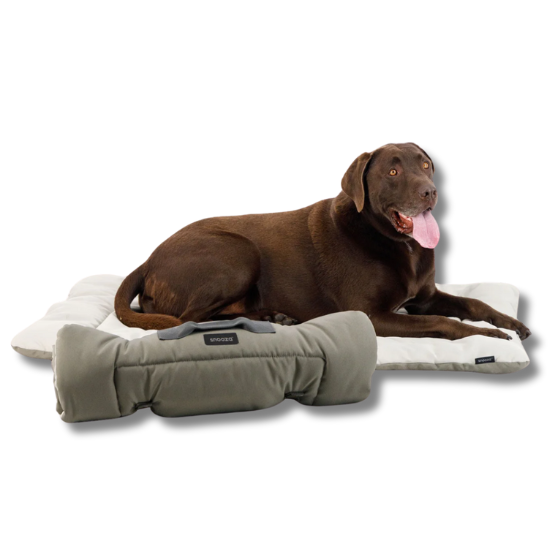 Snooza Roll & Go Outdoor Travel Mat