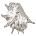 Society Home: Alu Shell Sculpture - Silver