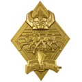 Power Rangers: 24K Gold Plated Medallion - Limited Edition