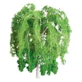 JTT Scenic Weeping Willow Trees 1.5" (4pk) - N Scale