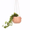 Sass & Belle: Face hanging planter - Matte Pink