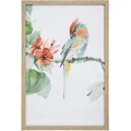Lavida: Framed Print Crested Parrot