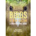 Birds Of New Zealand By Brent Stephenson, Paul Scofield