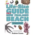 The Life-Size Guide To The New Zealand Beach By Andrew Crowe