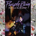 Purple Rain (Vinyl)