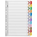 Icon Cardboard Indices with Reinforced Tabs 1-12 Coloured