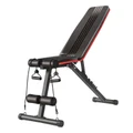 Ape Style Adjustable Incline/Decline Gym Bench with Resistance Bands