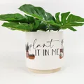 Urban Products: Plant It In Me Pun Planter (13cm)