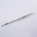 Royale Beginner 16 Holes C Key Silver Plated Flute with Accessories