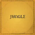 FOR EVER by Jungle (Vinyl)