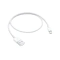 Apple: Lightning to USB Cable - 50cm