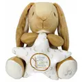 Guess How Much I Love You - Musical Soother Plush Toy