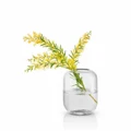 Eva Solo: Acorn Vase 16.5cm - Clear