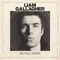 As You Were by Liam Gallagher (Vinyl)