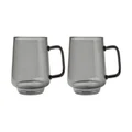 Maxwell & Williams: Blend Sala Glass Mug Set - Charcoal (400ml)