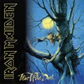 Fear of The Dark (2LP) by Iron Maiden (Vinyl)