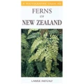 Photographic Guide To Ferns Of New Zealand By Lawrie Metcalf