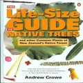 The Life-Size Guide To Native Trees By Andrew Crowe