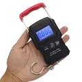 Ape Basics 50Kg/5g Portable LCD Digital Electronic Hanging Mini Weighing Scale